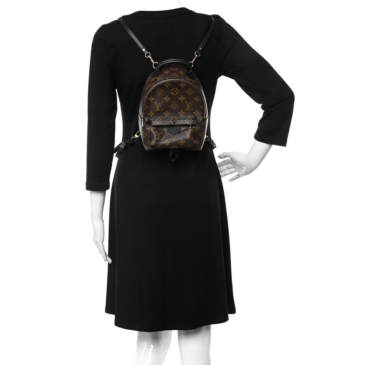 Monogram Palm Springs Backpack Mini