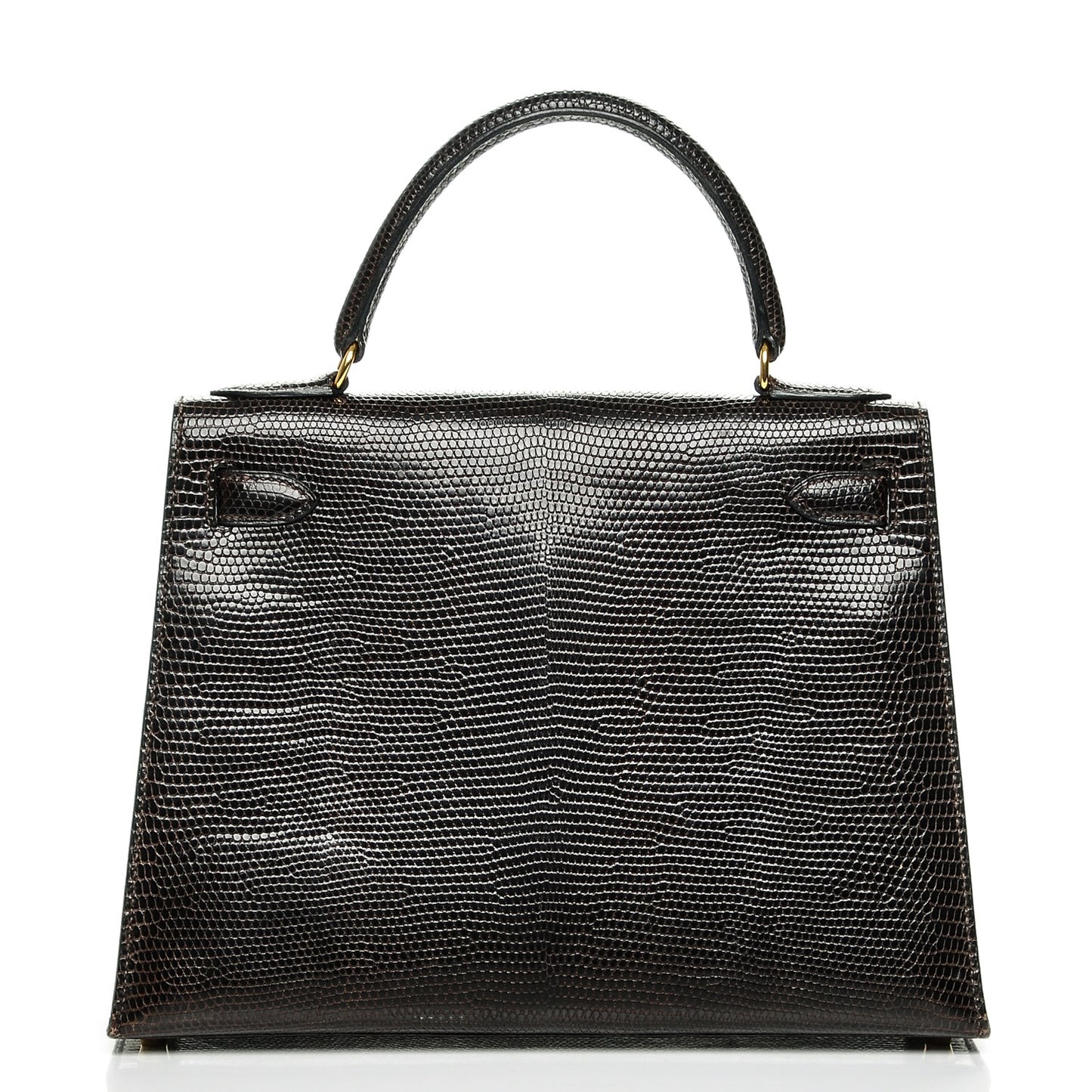 Shiny Lizard Kelly 28 Havane