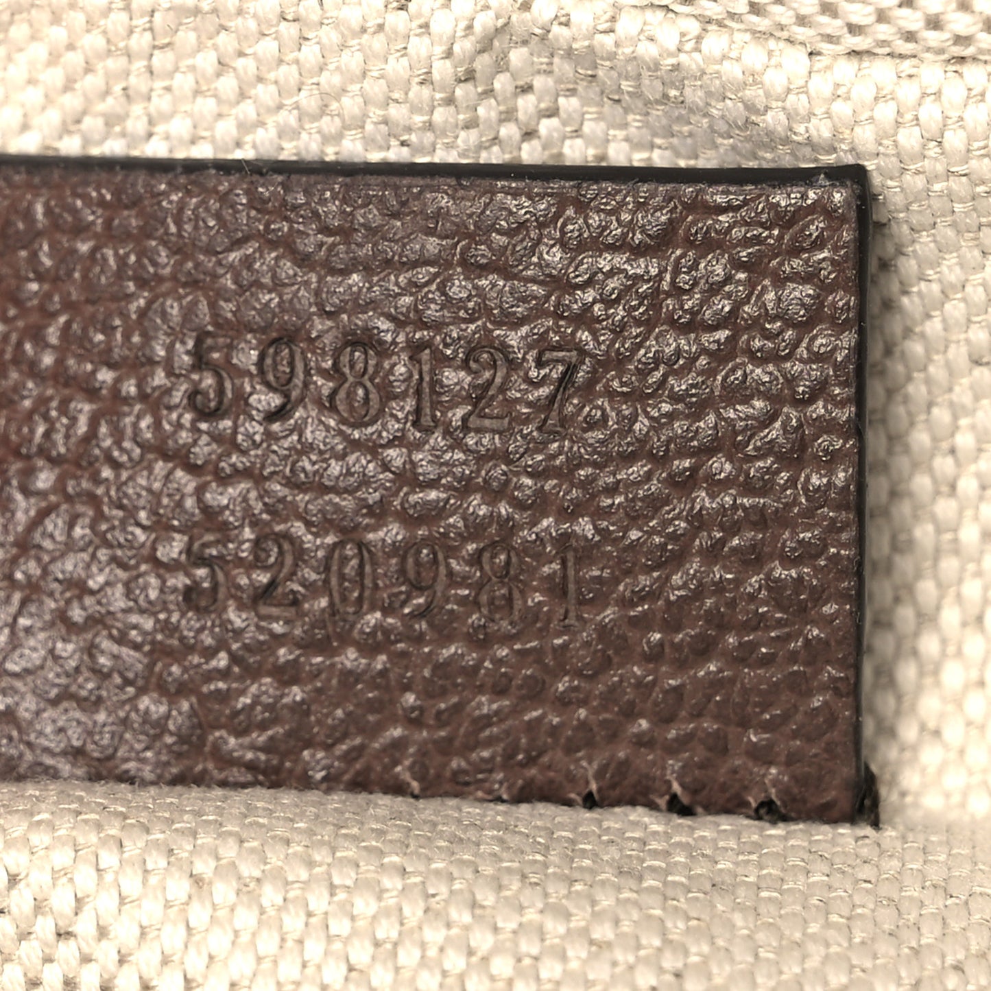 GG Supreme Monogram Web Mini Ophidia Messenger Brown