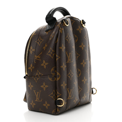 Louis Vuitton Monogram Palm Springs Backpack Mini 3 of 12