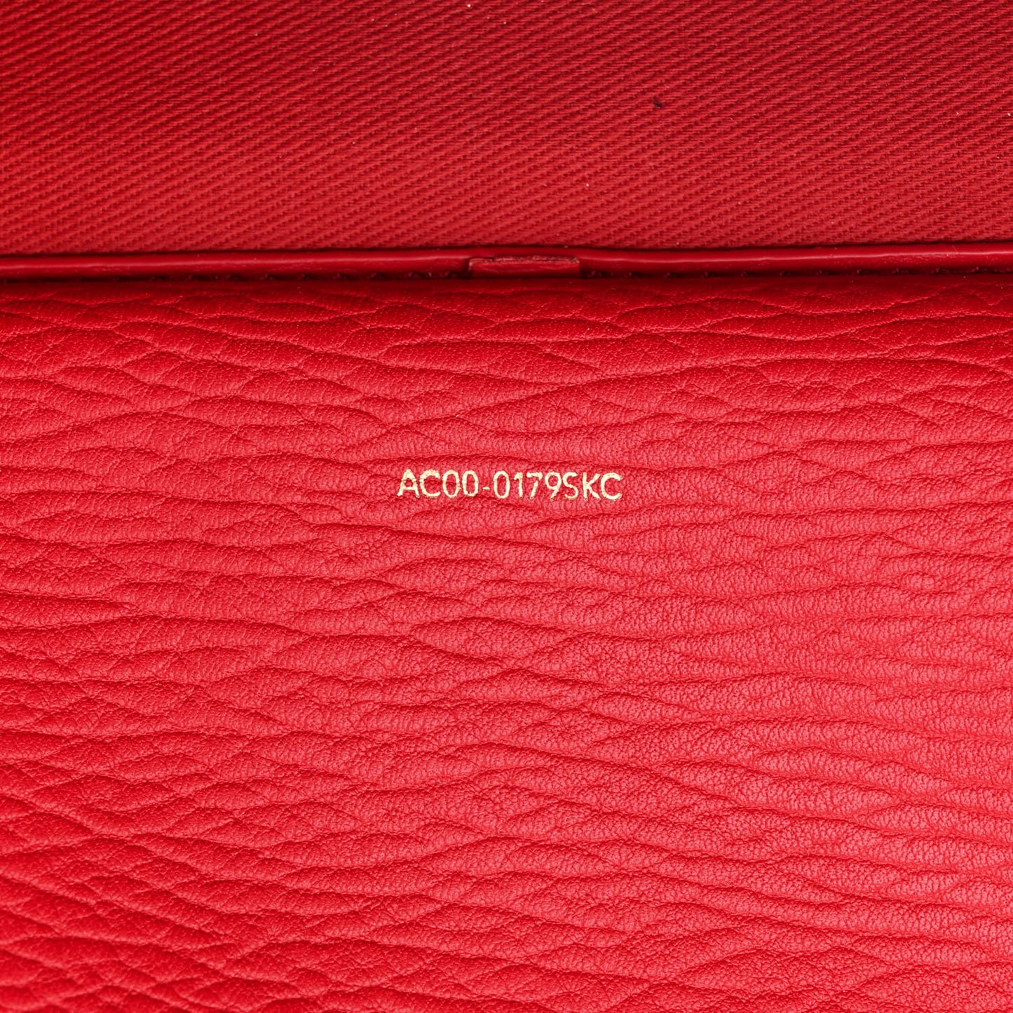 Textured Calfskin Medium Pashli Satchel Red
