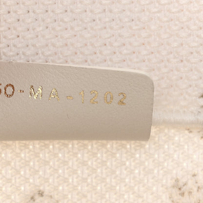 Christian Dior Canvas Embroidered Medium Jardin D'Hiver Book Tote White Gold 6 of 13