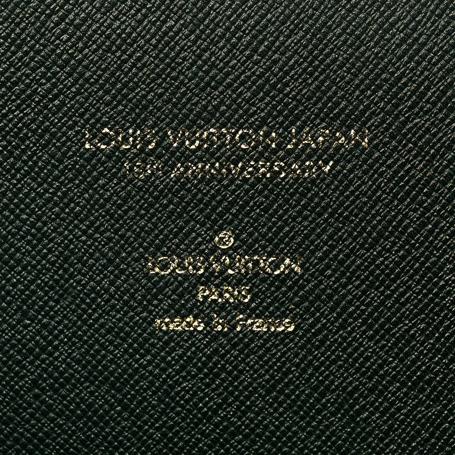 Louis Vuitton Taiga Document Case Epicea 6 of 16