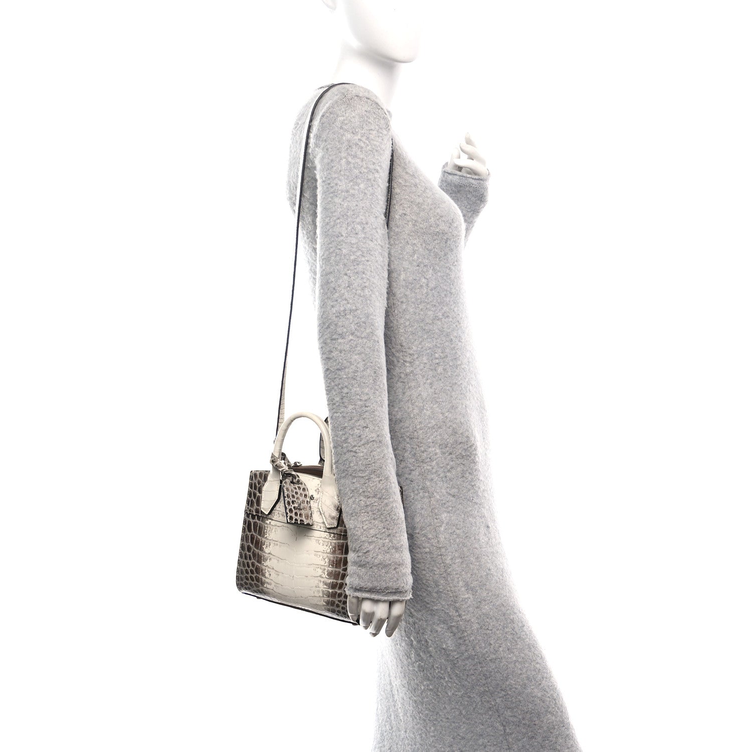 Louis Vuitton Himalaya Crocodile Mini City Steamer 2 of 9