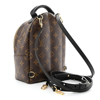 Louis Vuitton Monogram Palm Springs Backpack Mini 3 of 10