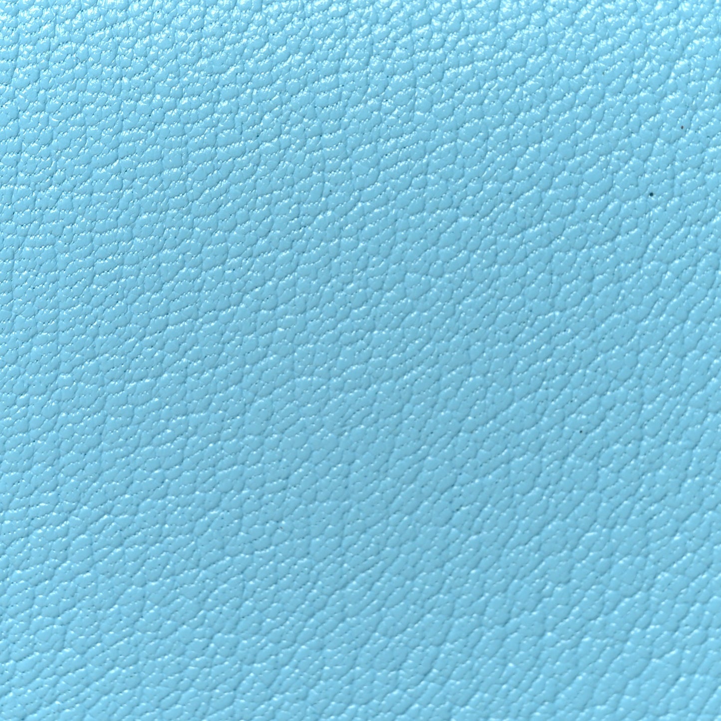 Chevre Mysore Verso Calvi Card Case Celeste Kraft