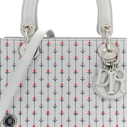 Christian Dior Embroidered Applique Medium Lady Dior Light Blue Multicolor 8 of 13