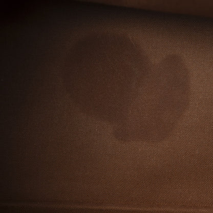 Louis Vuitton Monogram Alma PM 9 of 12