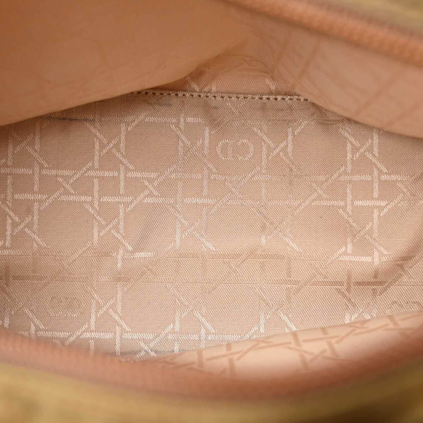 Nylon Cannage Medium Lady Dior Brown