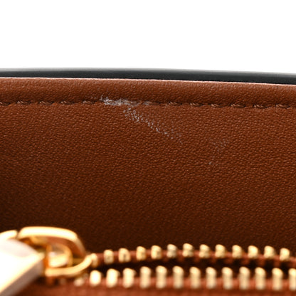 Celine Triomphe Canvas Teen Nino Tan 11 of 11