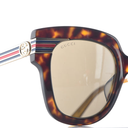 Gucci Acetate Square Frame Web Sunglasses GG0281S Havana 7 of 7