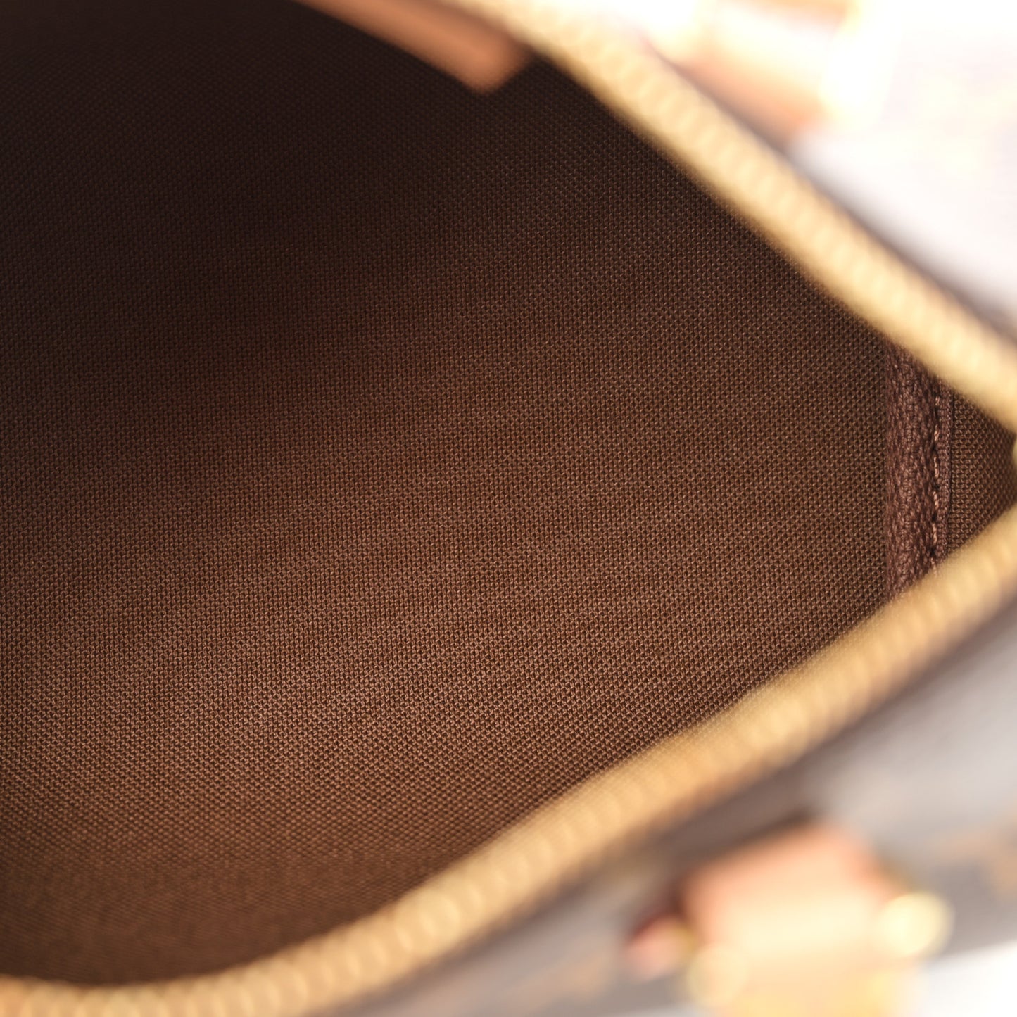 Monogram Nano Speedy