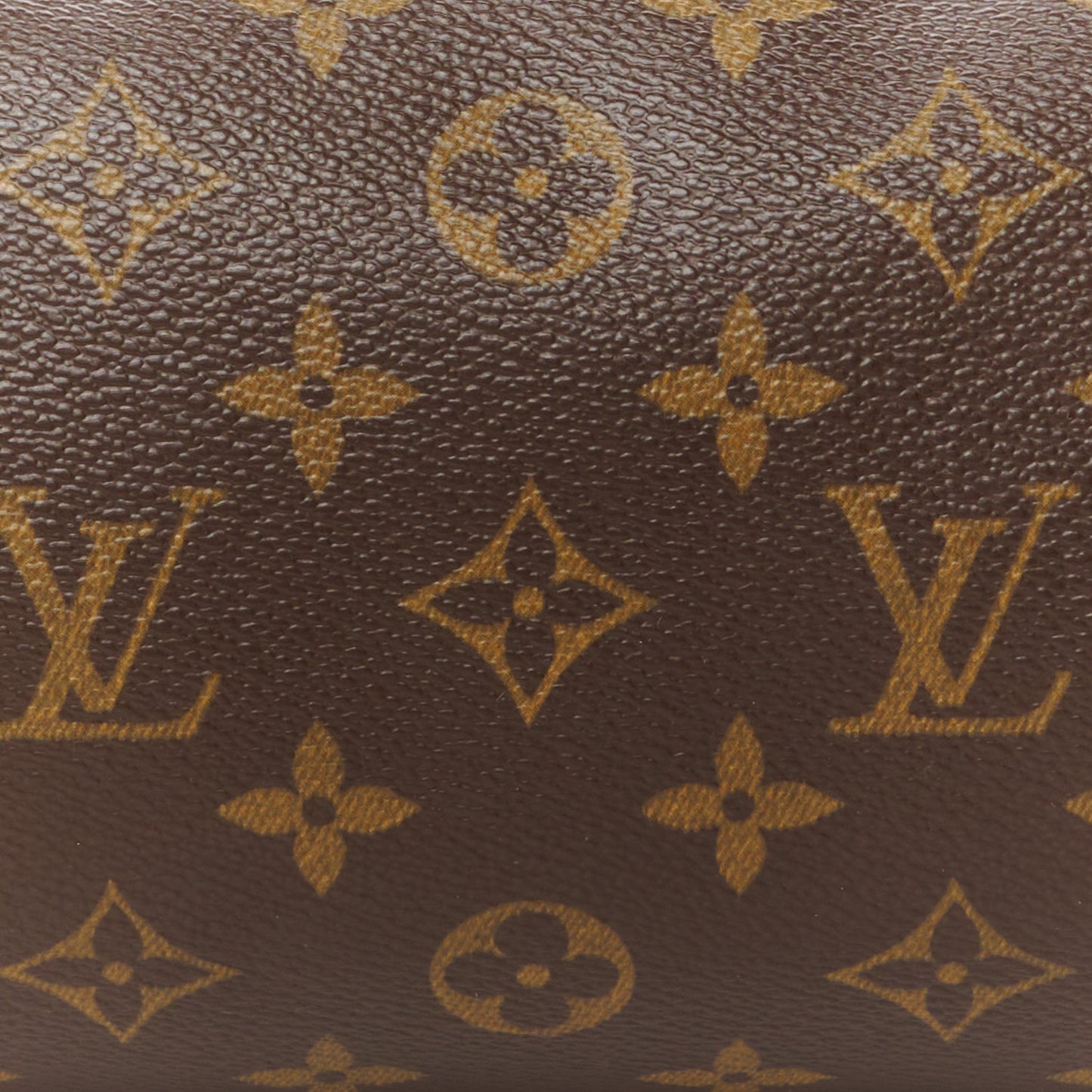 Monogram Papillon 30