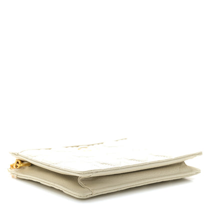 Christian Dior Calfskin Cannage Caro Zipped Pouch With Chain Latte 14 of 14