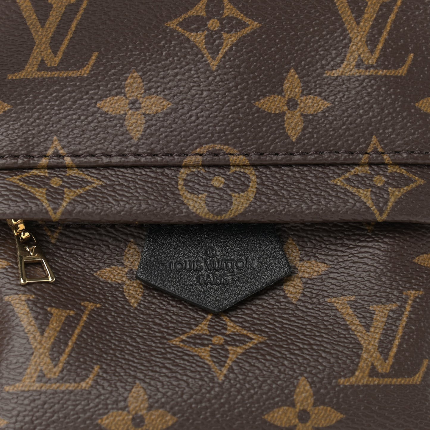 Monogram Palm Springs Backpack Mini