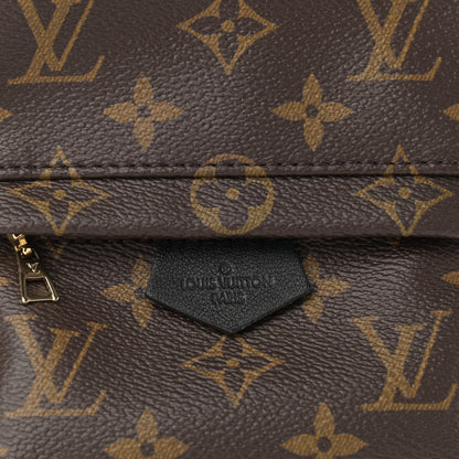 Louis Vuitton Monogram Palm Springs Backpack Mini 8 of 10