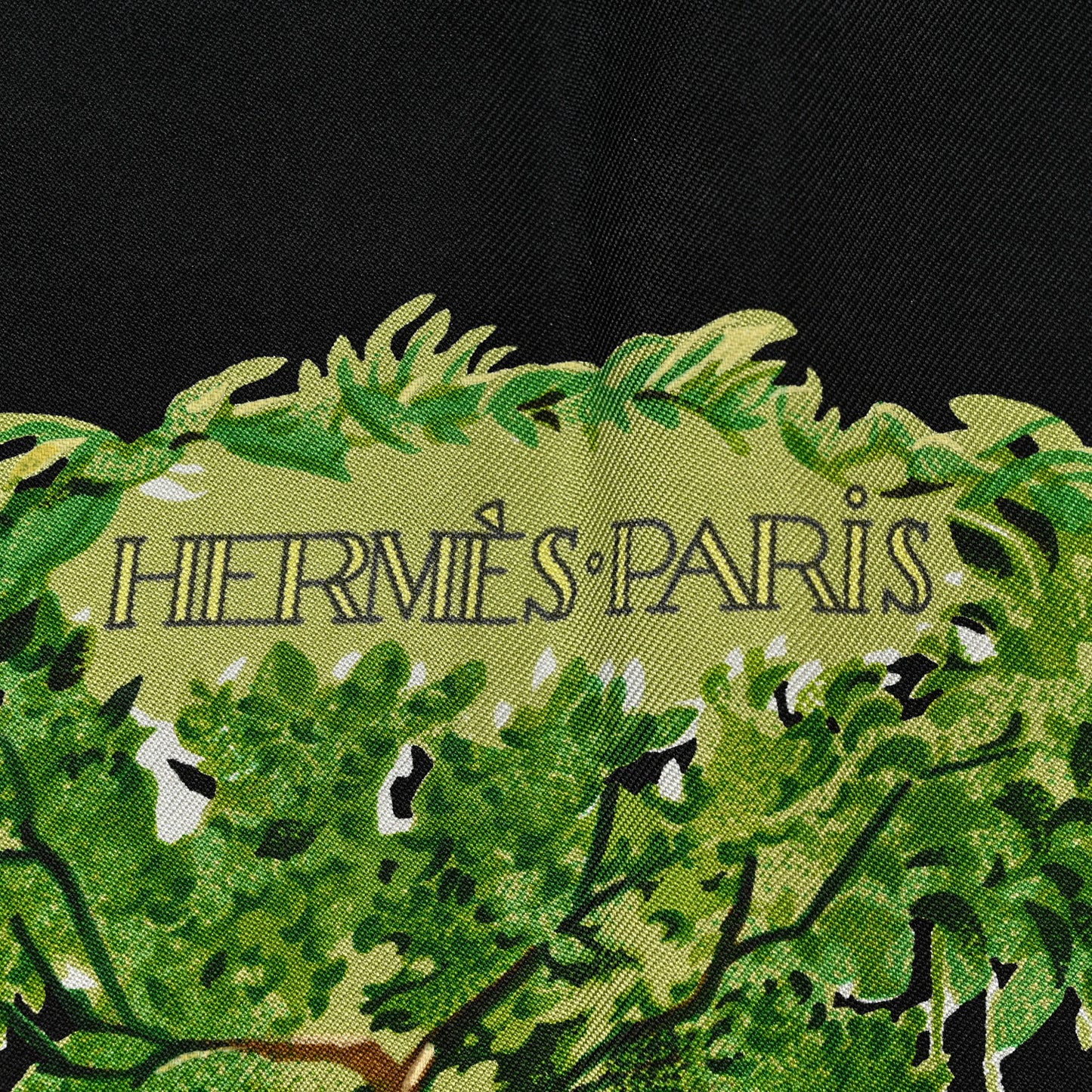 Silk Equateur Scarf 90 Black Vert Bleu