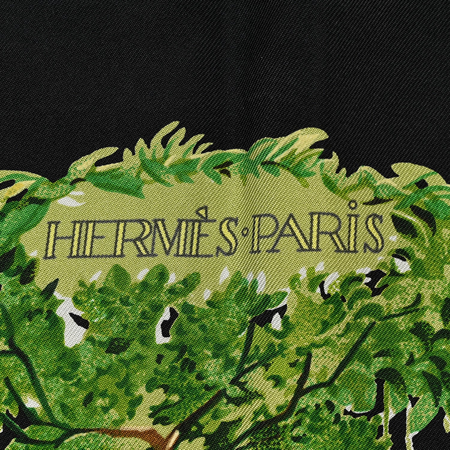 Hermes Silk Equateur Scarf 90 Black Vert Bleu 3 of 5