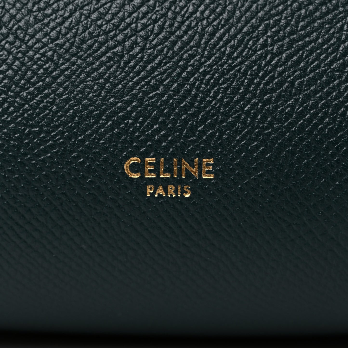 Grained Calfskin Mini Belt Bag Amazone