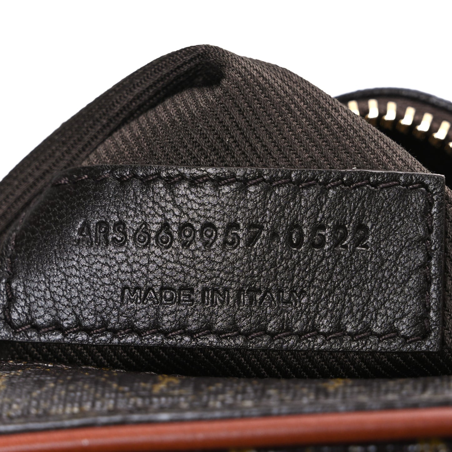 Canvas Smooth Calfskin Le Monogramme Camera Bag Chestnut