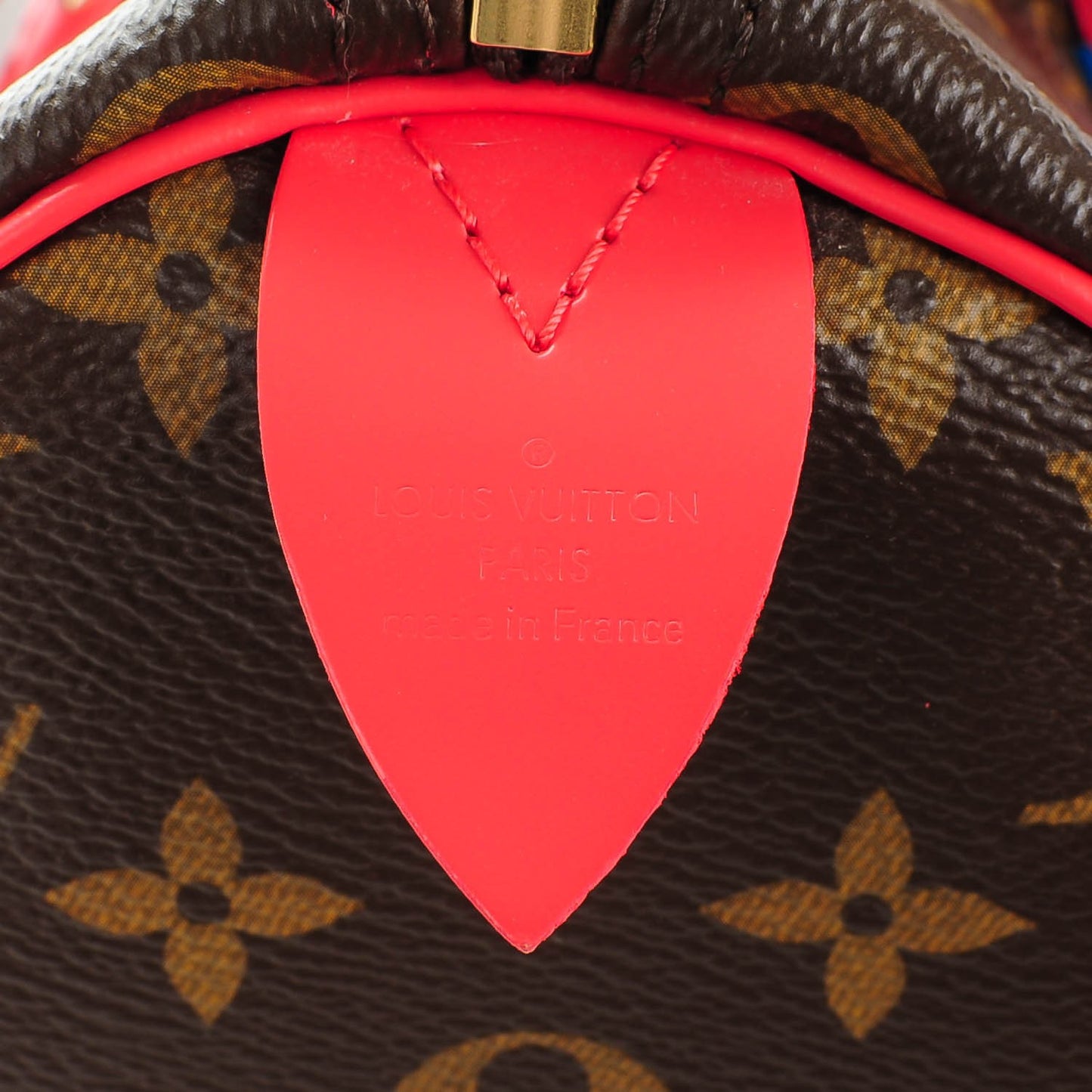 Monogram Totem Speedy 30 Flamingo