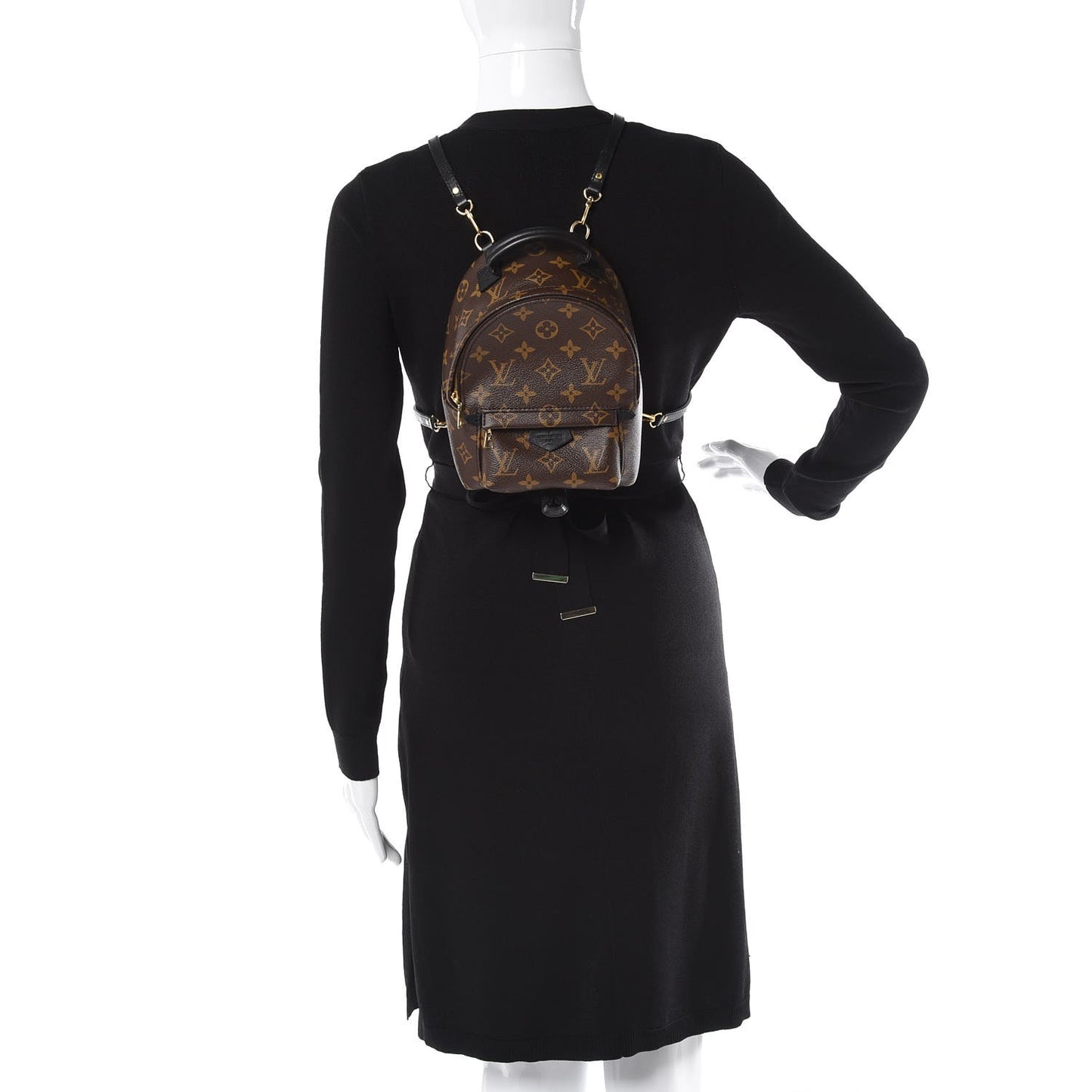 Monogram Palm Springs Backpack Mini
