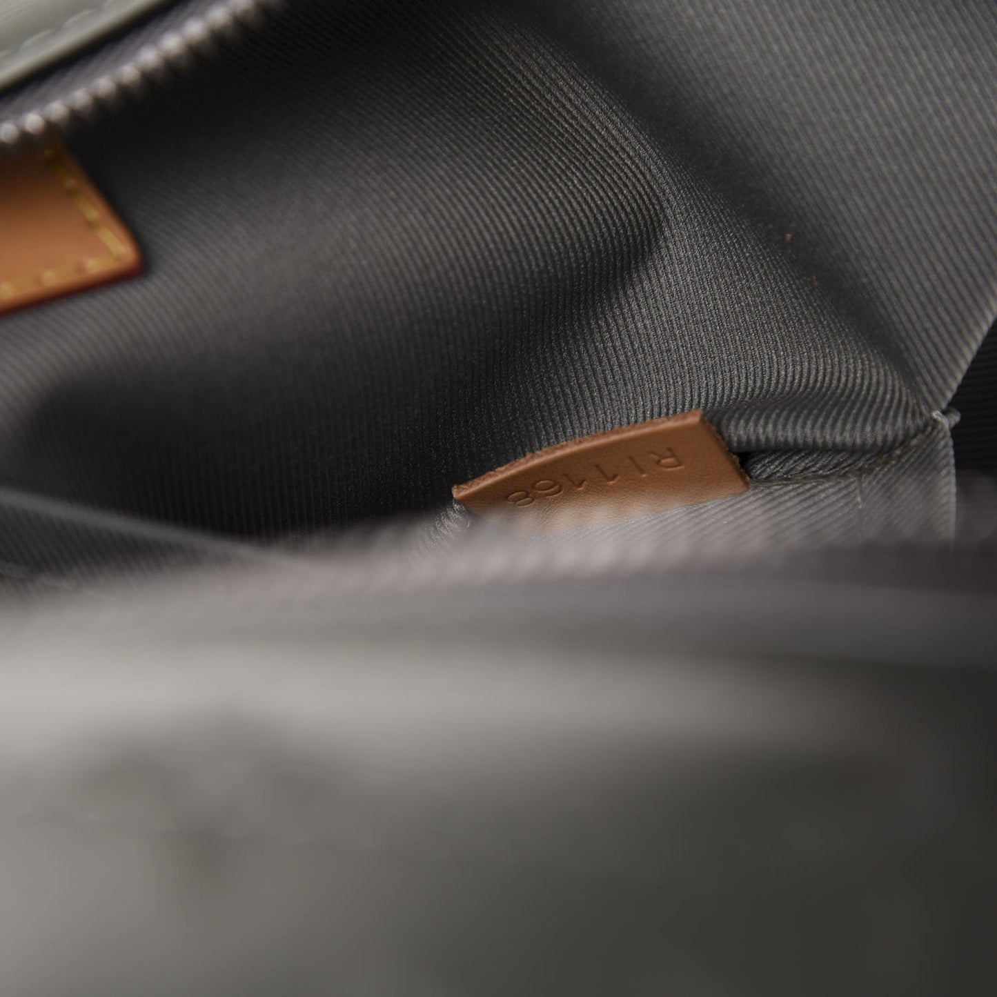 Monogram Titanium Camera Bag