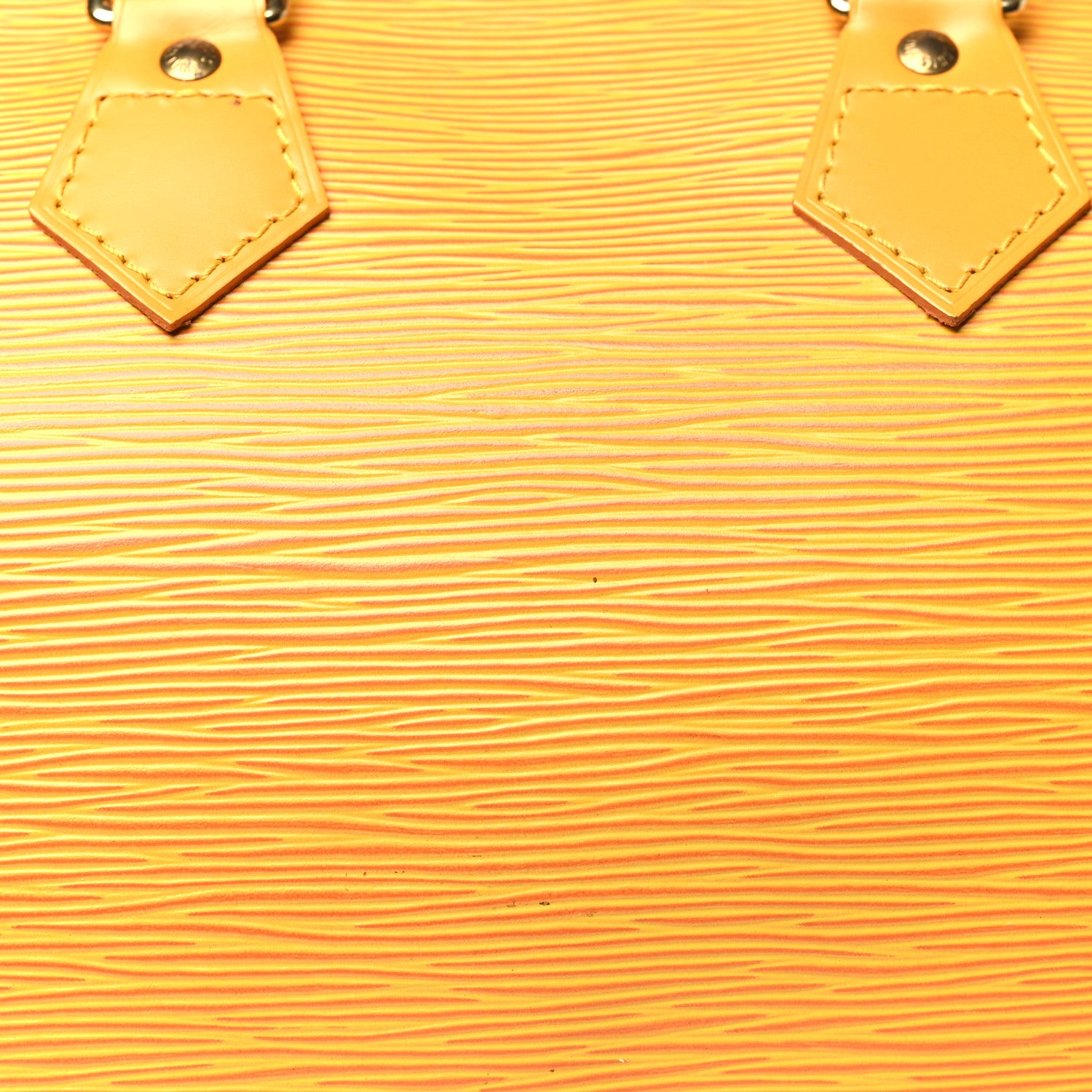 Louis Vuitton Epi Speedy 25 Tassil 7 of 9