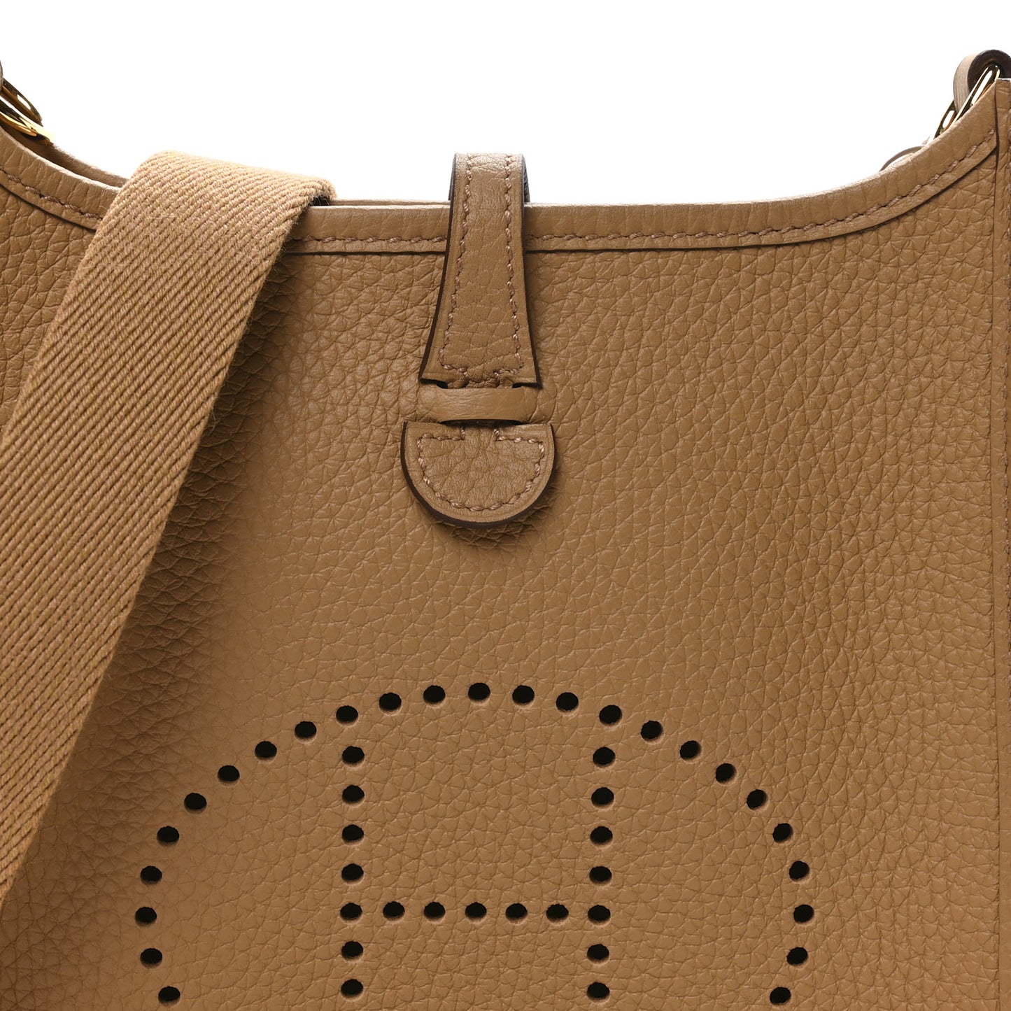 Taurillon Clemence Evelyne TPM Biscuit