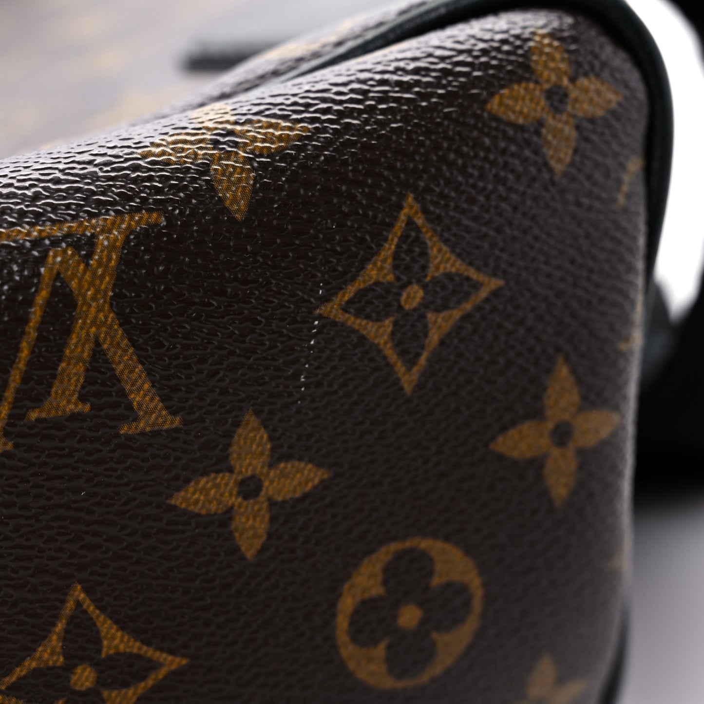 Monogram Macassar Palk Backpack