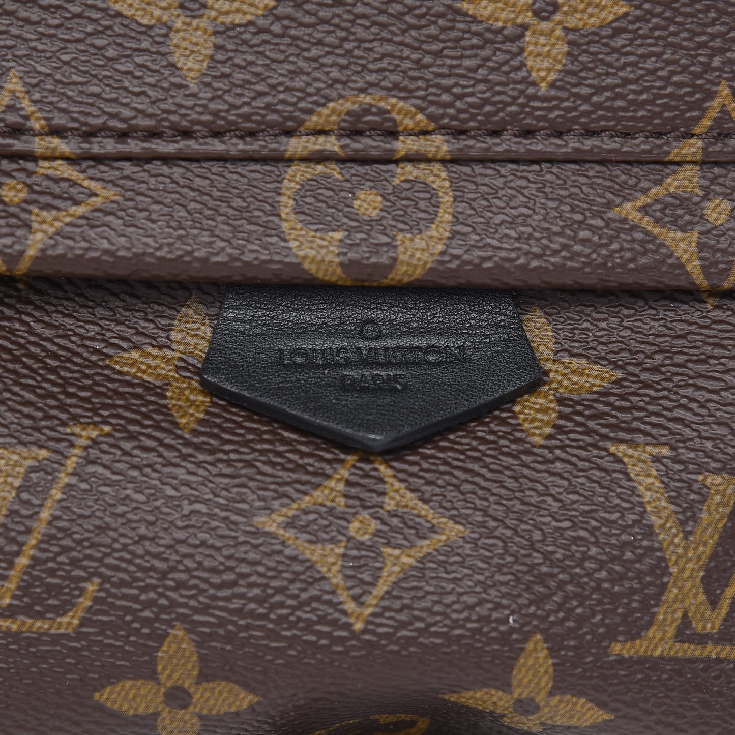 Monogram Palm Springs Backpack Mini