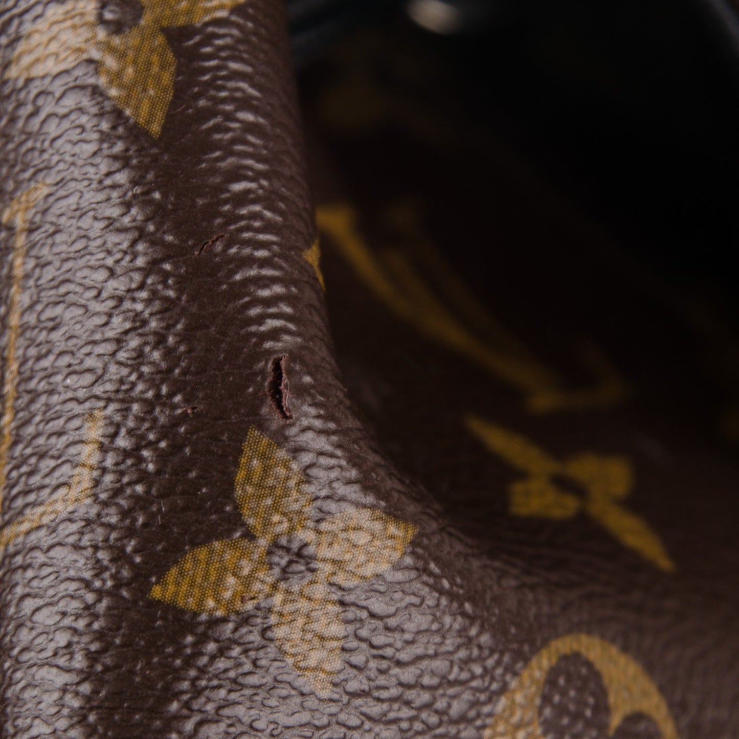 Monogram Macassar Christopher PM Backpack