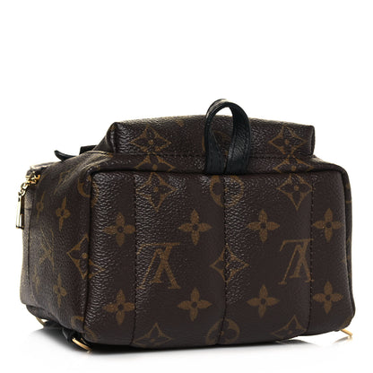 Louis Vuitton Monogram Palm Springs Backpack Mini 4 of 11