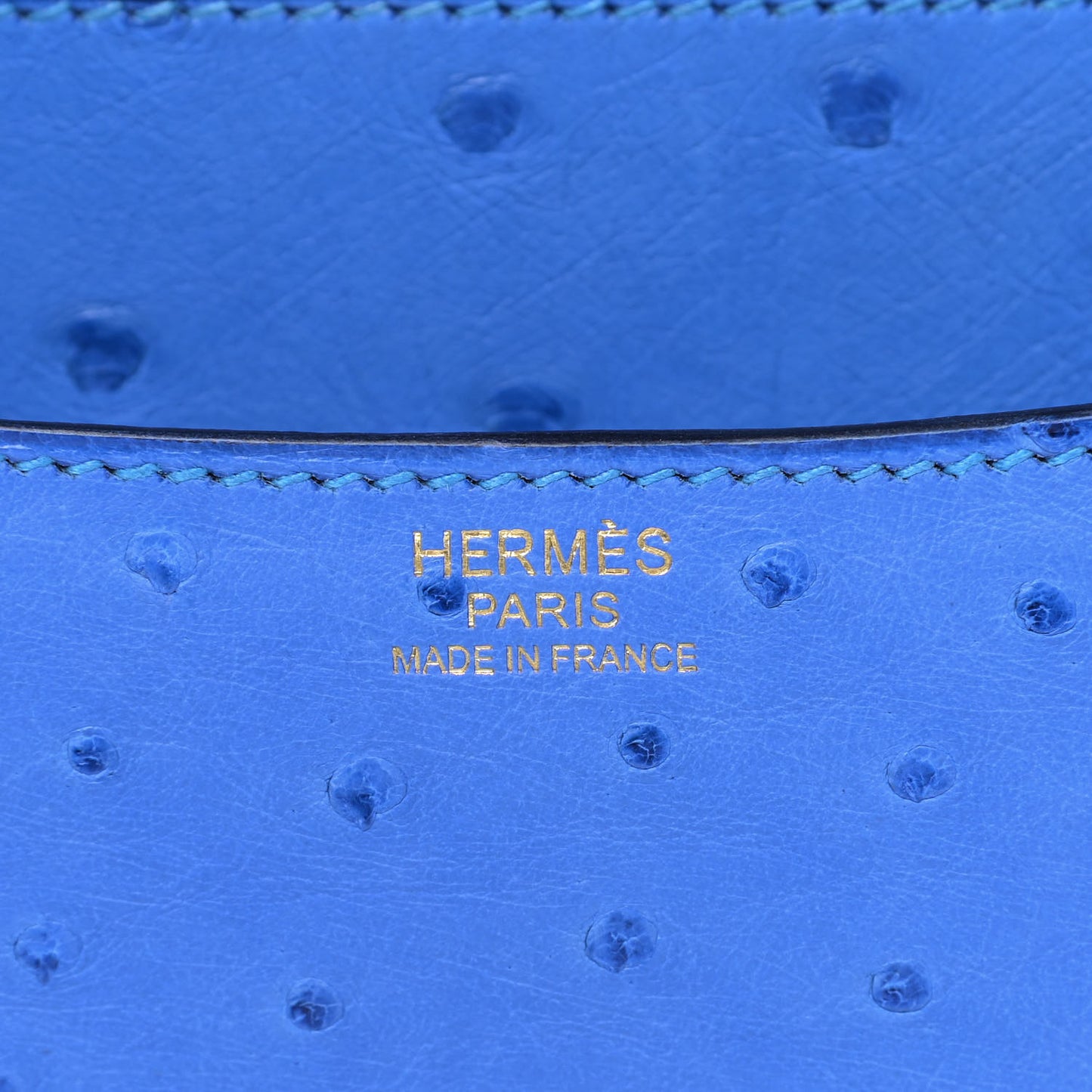 Ostrich Constance 24 Bleuet