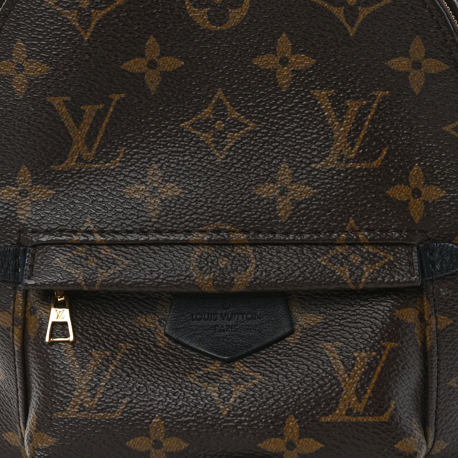 Louis Vuitton Monogram Palm Springs Backpack Mini 7 of 10
