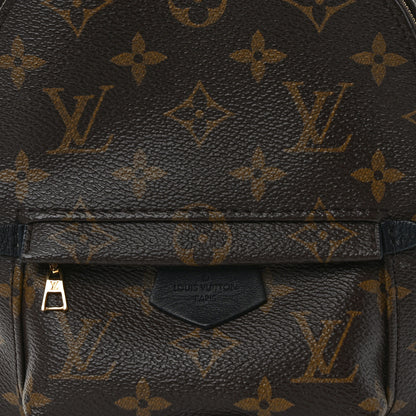 Louis Vuitton Monogram Palm Springs Backpack Mini 7 of 10