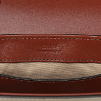Chloe Shaded Glossy Calfskin Lizard Embossed Mini C Double Carry Grey 6 of 12