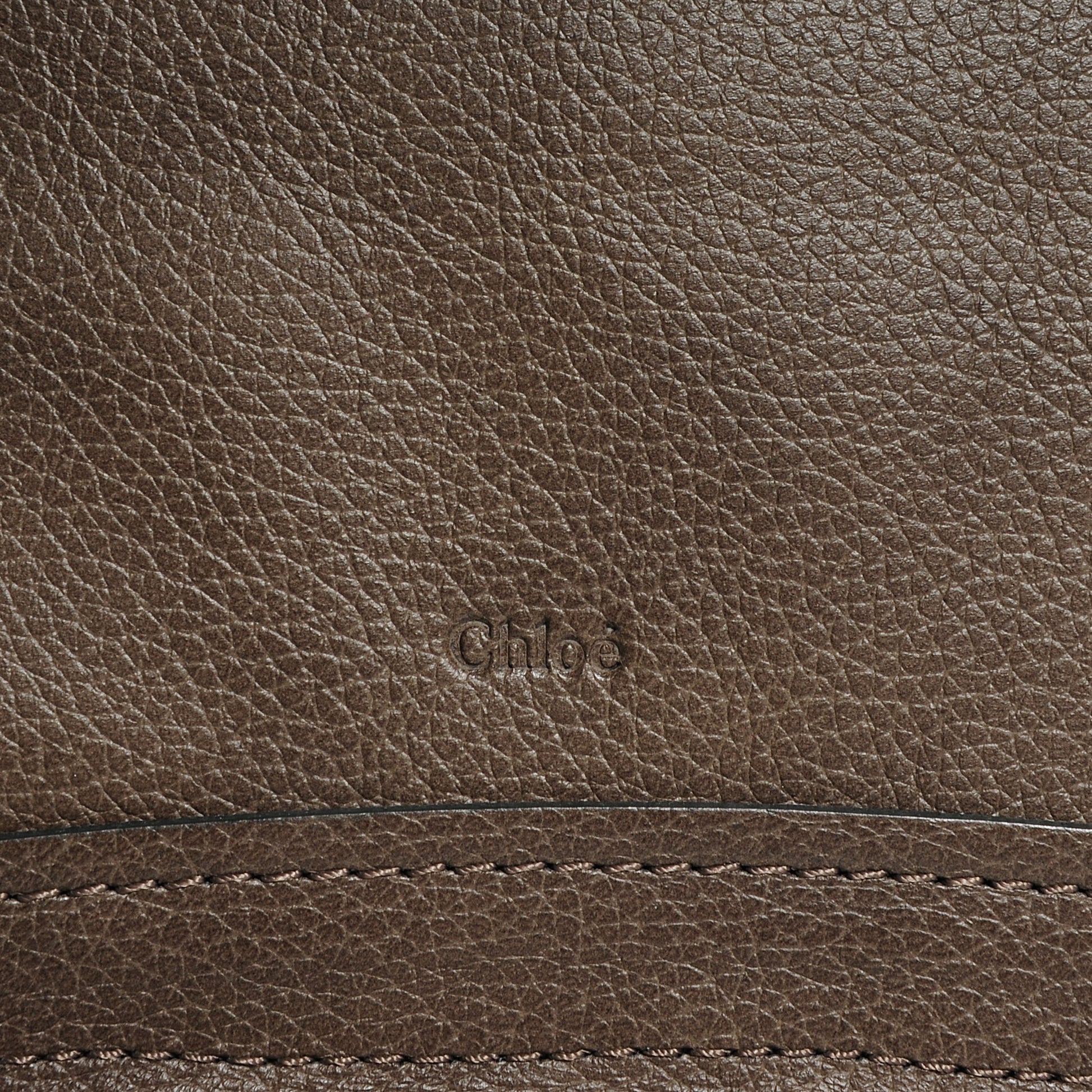 Chloe Calfskin Medium Paraty Rock 10 of 10