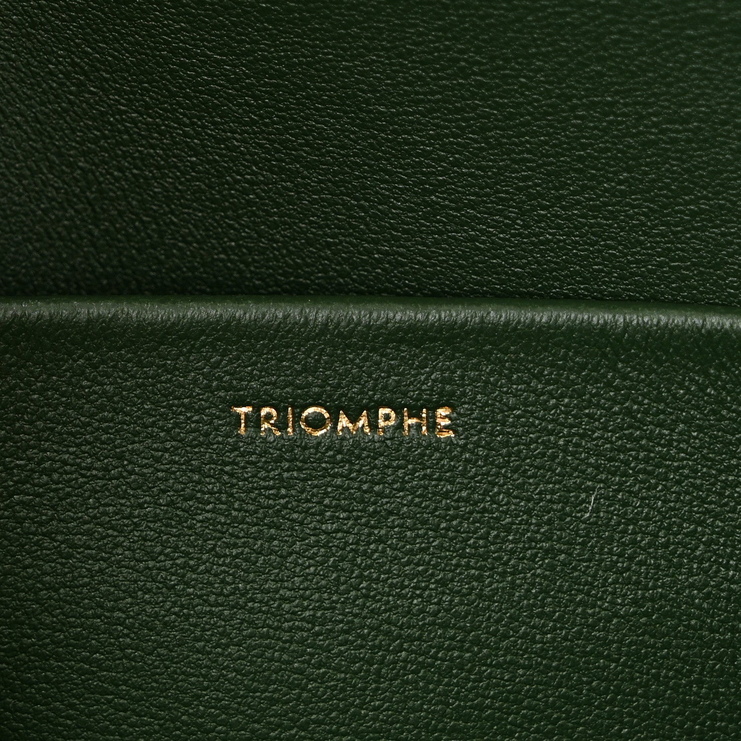 Celine Shiny Calfskin Triomphe Shoulder Bag Forest 7 of 10