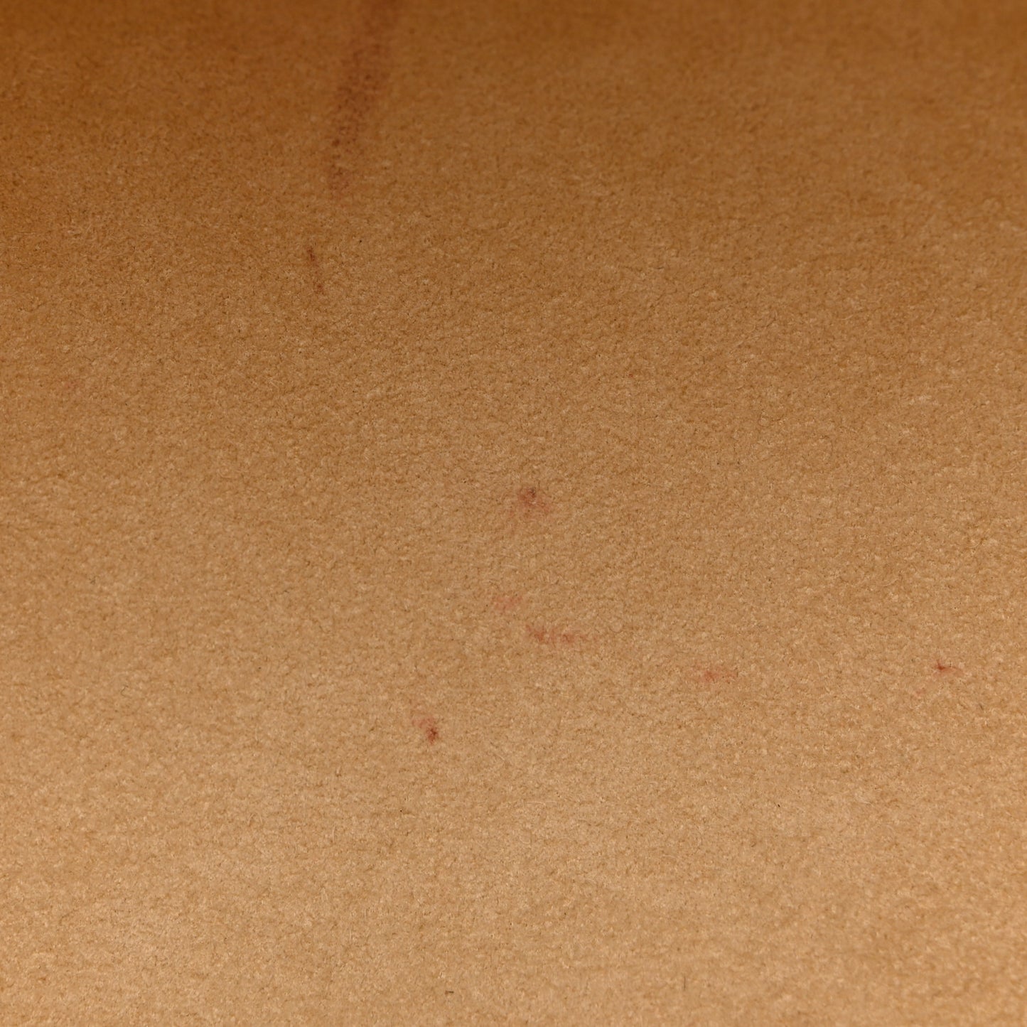 Monogram Cherry Blossom Papillon Brown