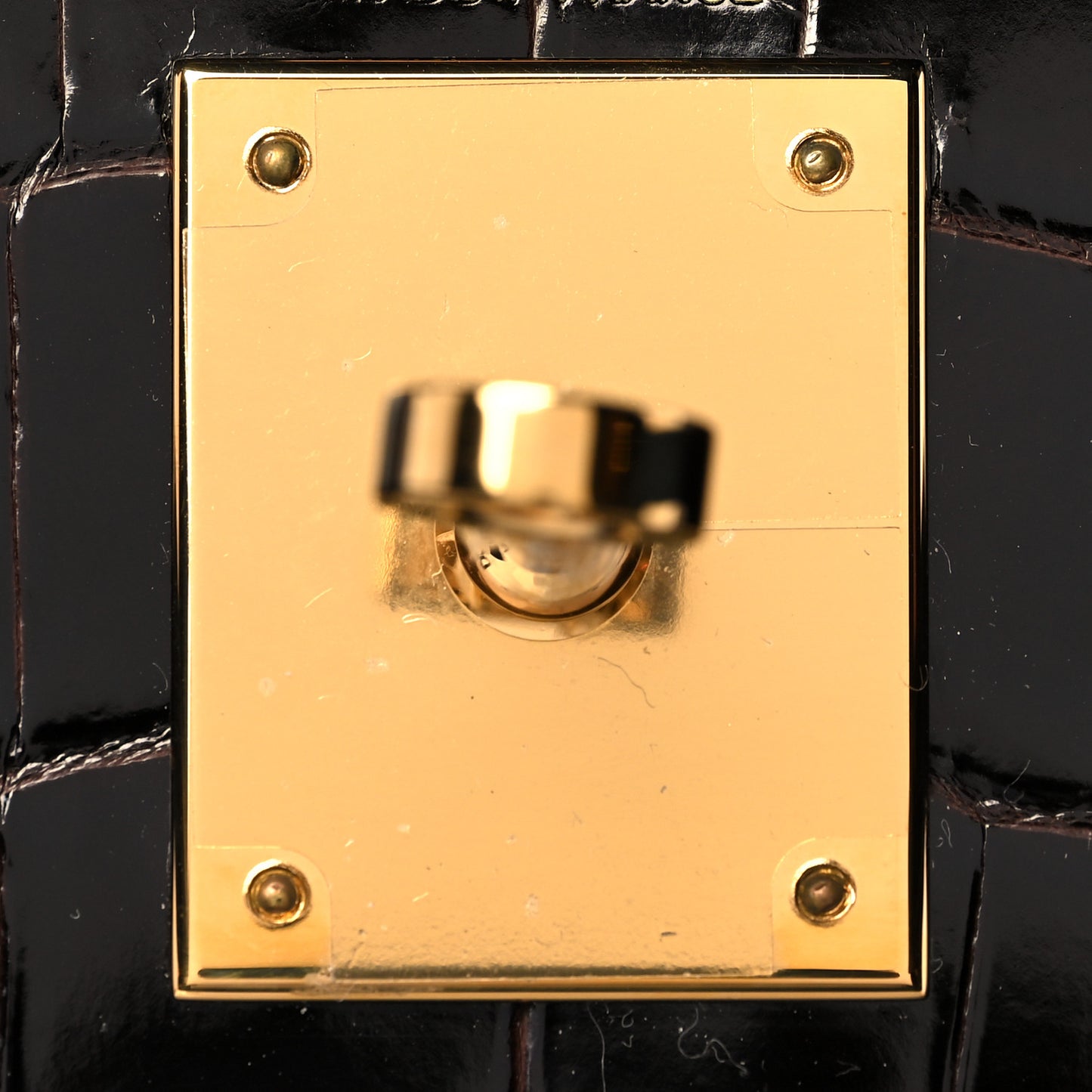 Shiny Niloticus Crocodile Kelly Sellier 28 Macassar