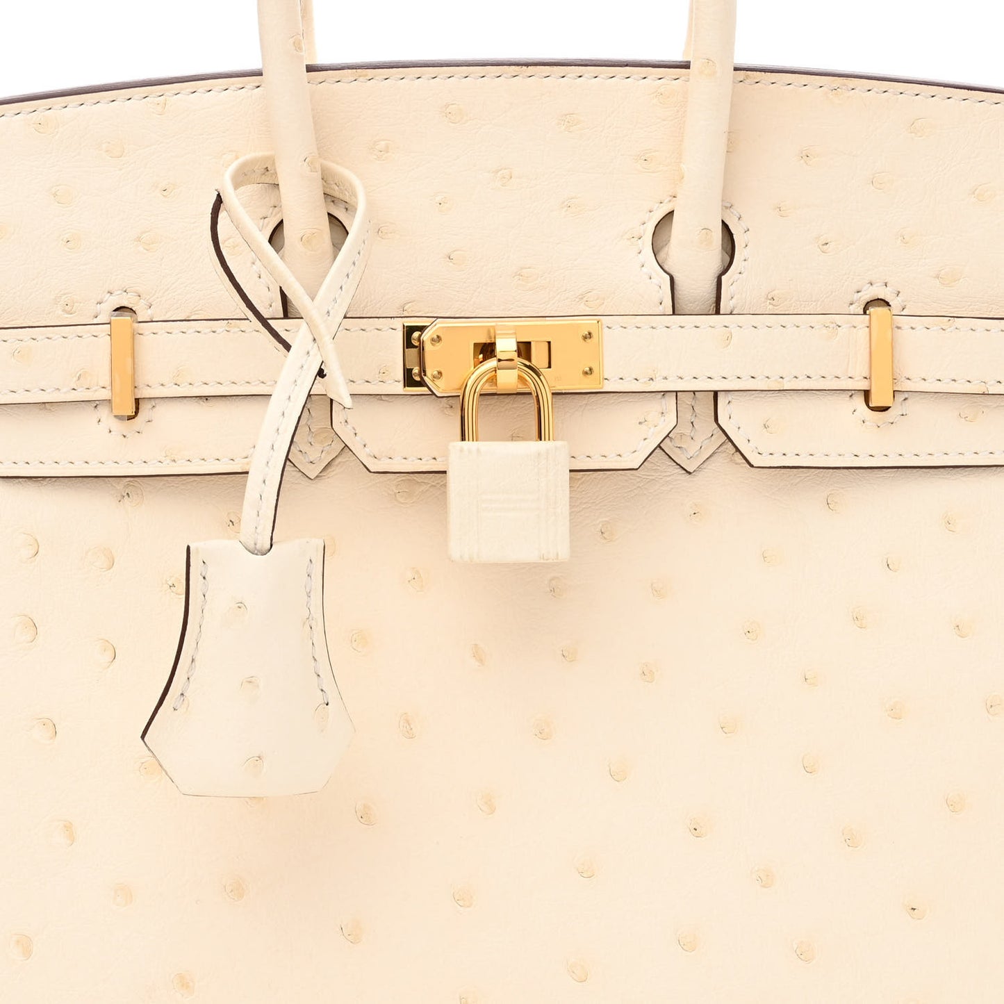 Ostrich Birkin 25 Nata