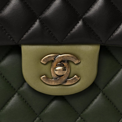 Chanel Lambskin Quilted Tri-Color Medium Double Flap Green Brown 7 of 11