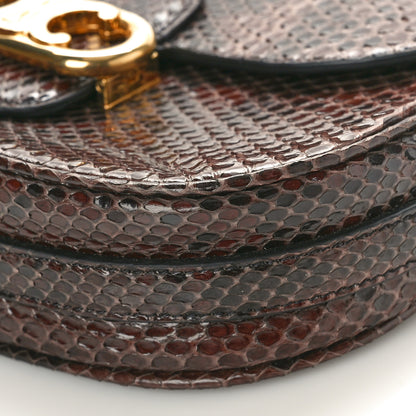 Celine Snakeskin Medium Chain Maillon Triomphe Brown 9 of 9