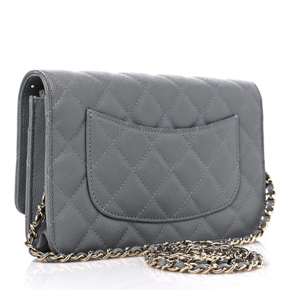 Chanel Caviar Quilted Wallet On Chain WOC Grey 3 of 11