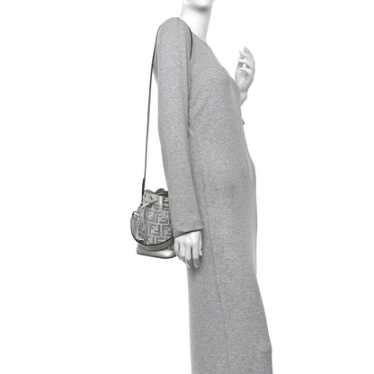 Fendi Crystal Vitello Laminato FF Mini Mon Tresor Bucket Bag Crystal Argento 2 of 10