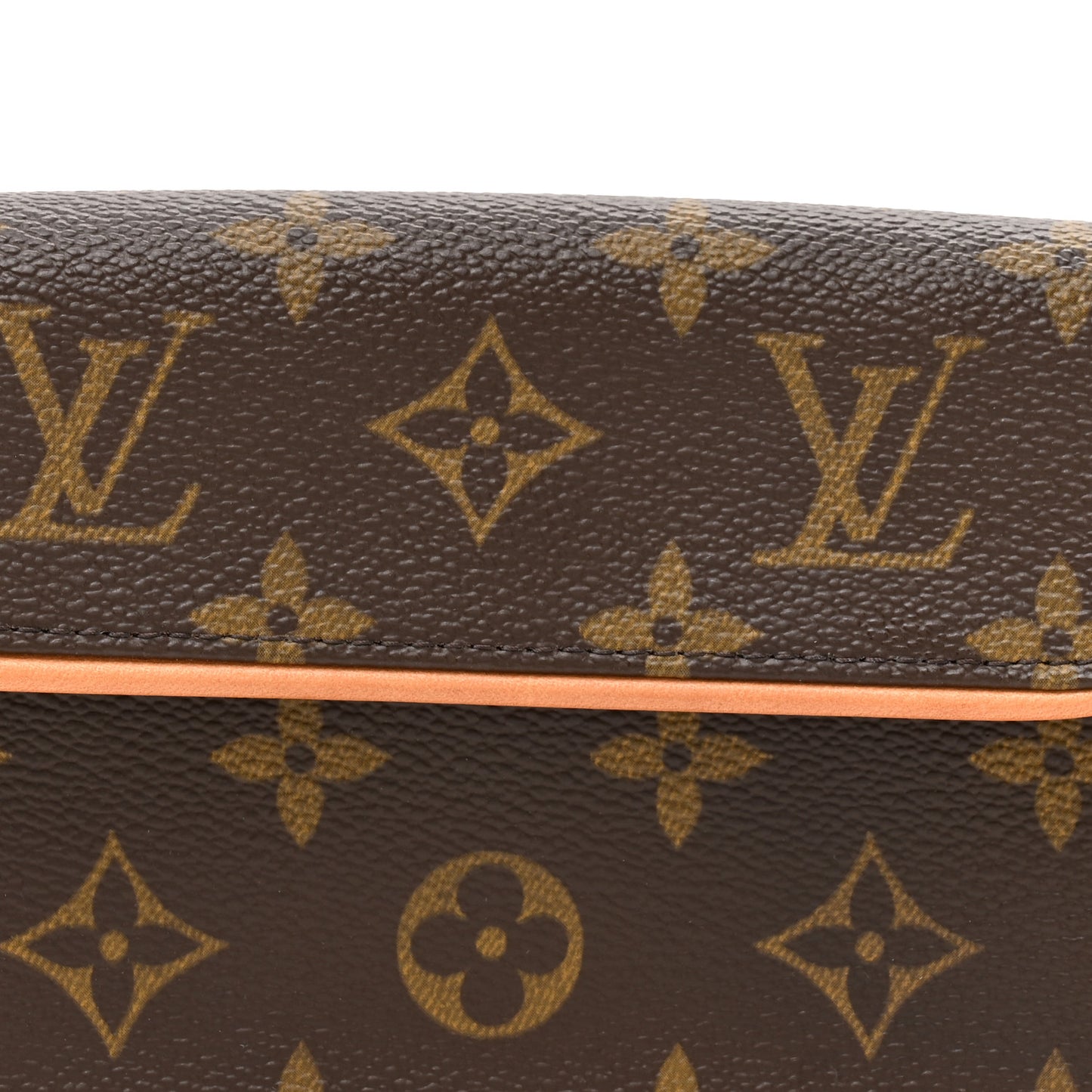 Monogram Pochette Florentine M