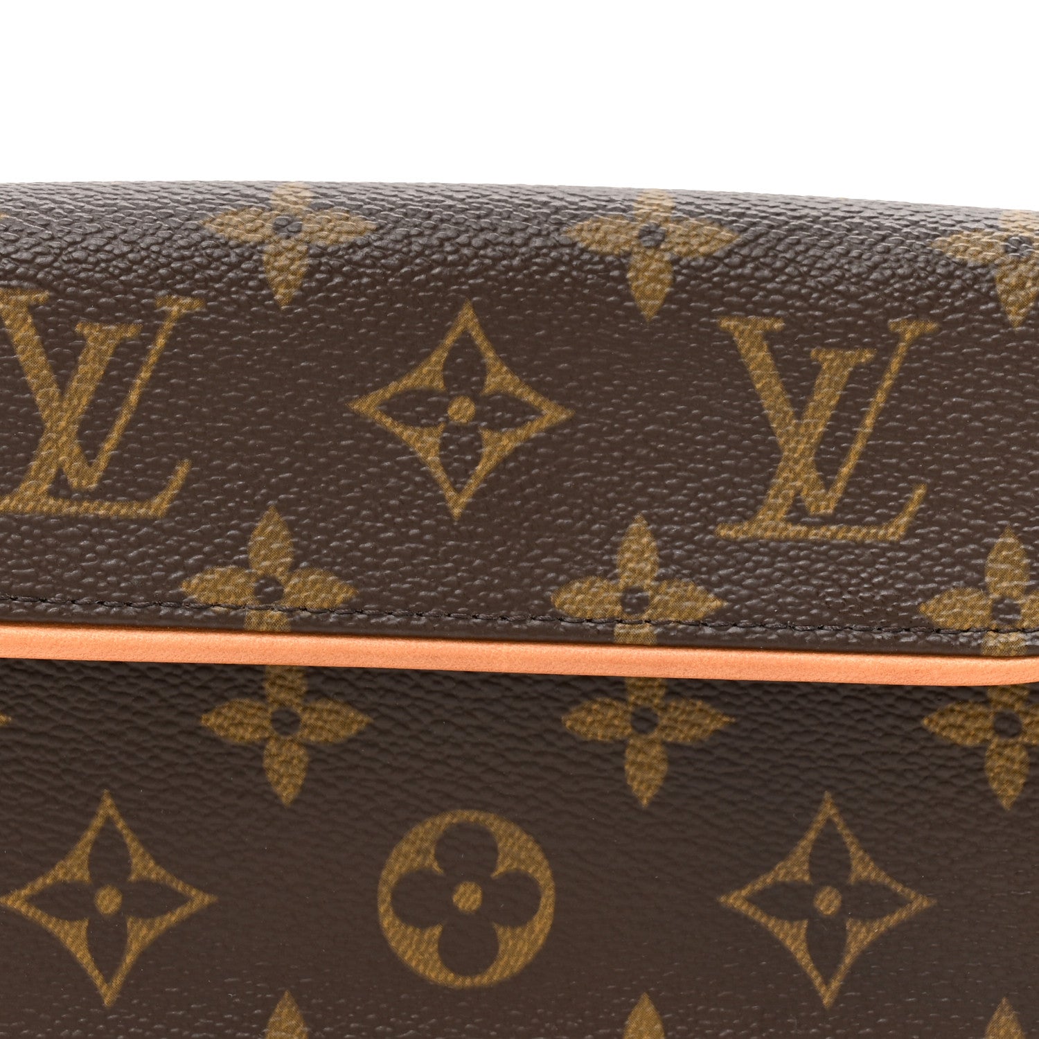 Louis Vuitton Monogram Pochette Florentine M 7 of 11