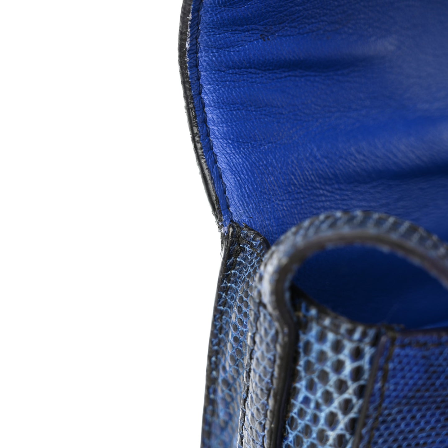 Lizard Small Trotteur Blue