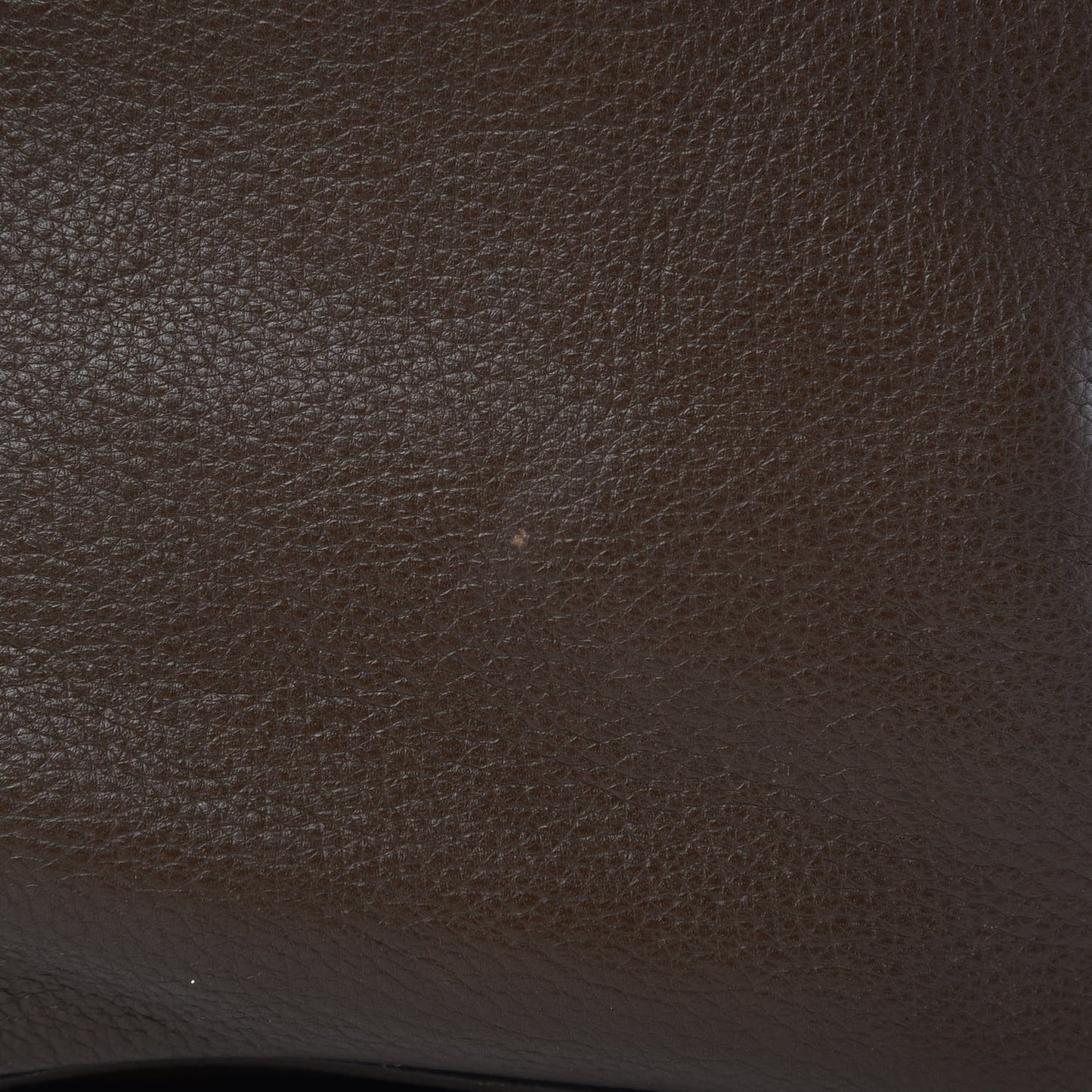 Calfskin Medium Downtown Olive